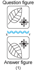 Non verbal reasoning, water images practice questions with detailed solutions, water images question and answers with explanations, Non-verbal series, water images tips and tricks, practice tests for competitive exams, Free water images practice questions